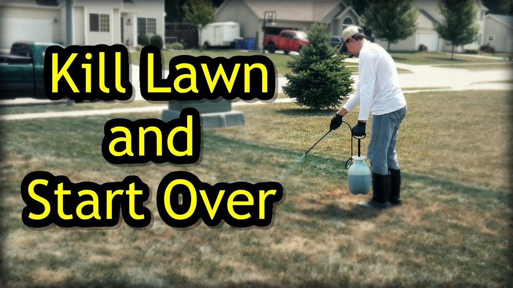 How to Tear Up a Lawn And Reseed